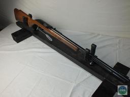 Glenfield Model 60, .22LR Rifle