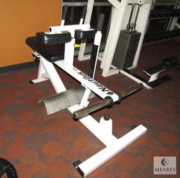 Nautilus XPload Seated Calf & Dorsal Weight Machine
