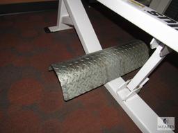 Nautilus XPload Seated Calf & Dorsal Weight Machine