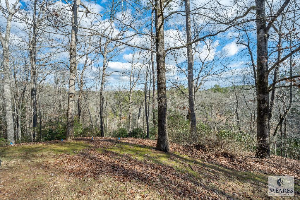Home on 5.89 AC on Little River - 335 Holly Lane, Walhalla, SC - Auction at 11:00 AM