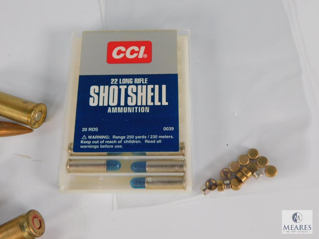 Lot of Assorted Bullets