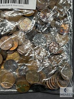 Mixed Bag of Lincoln Wheat Cents