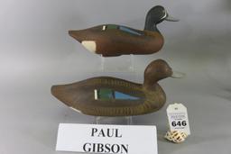 Pr. Paul Gibson Teal