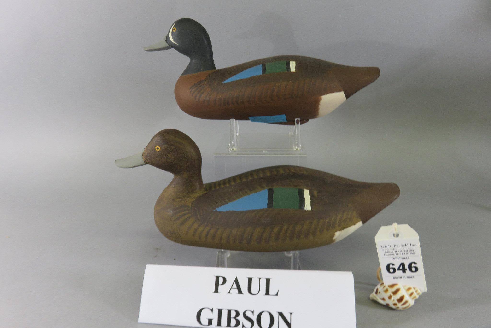 Pr. Paul Gibson Teal