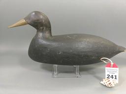 Black Duck by Les Van Brunt