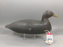 Black Duck by Les Van Brunt