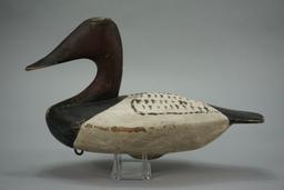 CANVASBACK BY RICHARD ELZEY