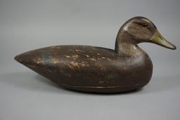 BLACKDUCK UNKNOWN