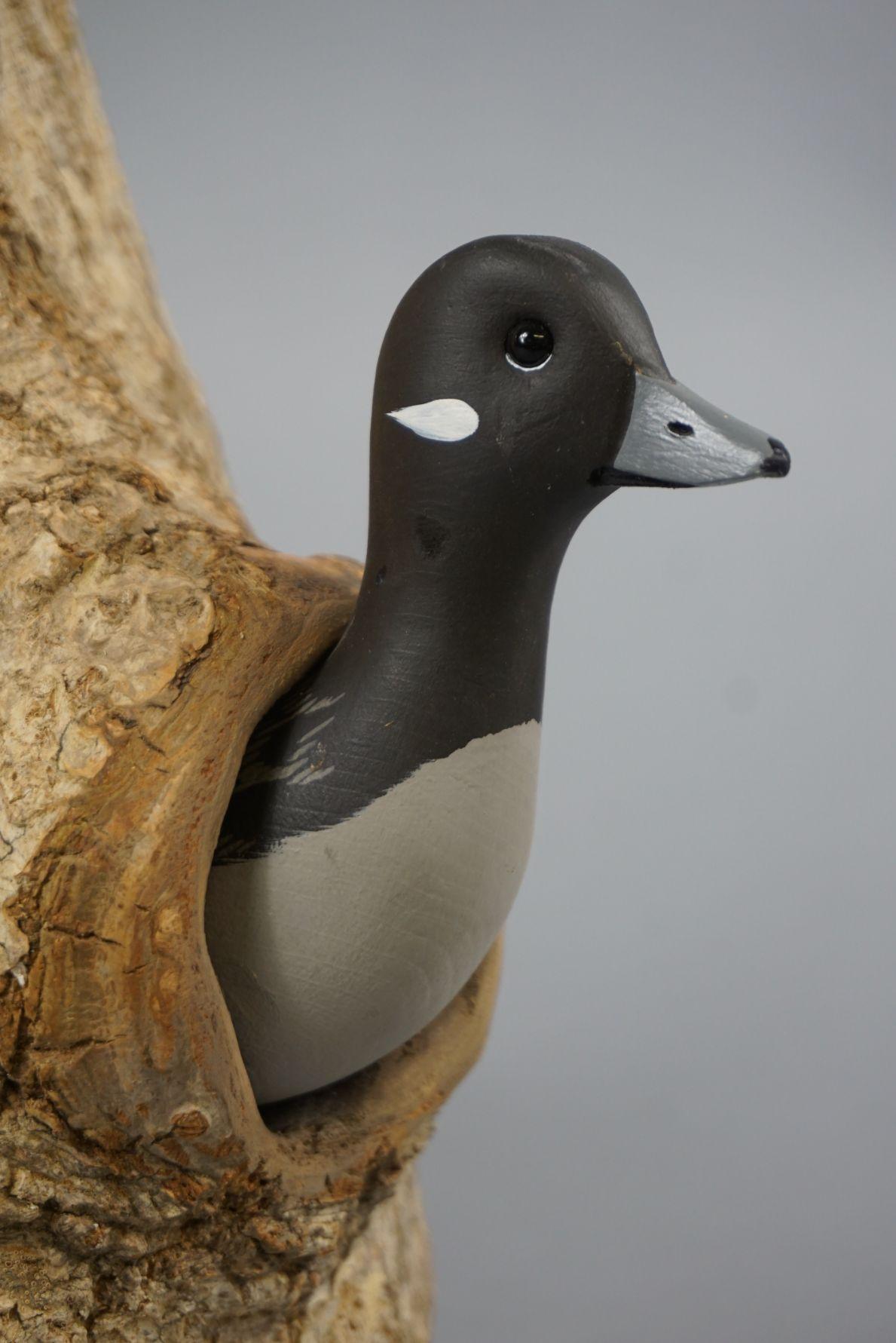 BUFFLEHEAD DISPLAY BY ROE TERRY