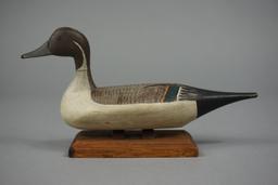 PINTAIL BY BOB MCGAW