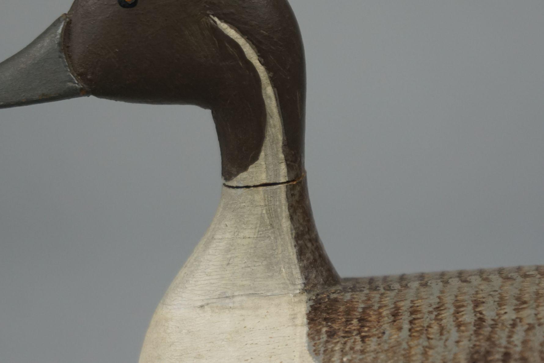 PINTAIL BY BOB MCGAW