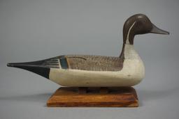 PINTAIL BY BOB MCGAW