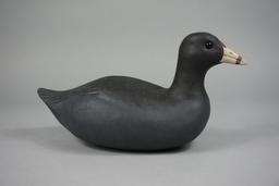 COOT BY DELBERT " CIGAR" DAISEY
