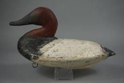CANVASBACK BY BEN DYE