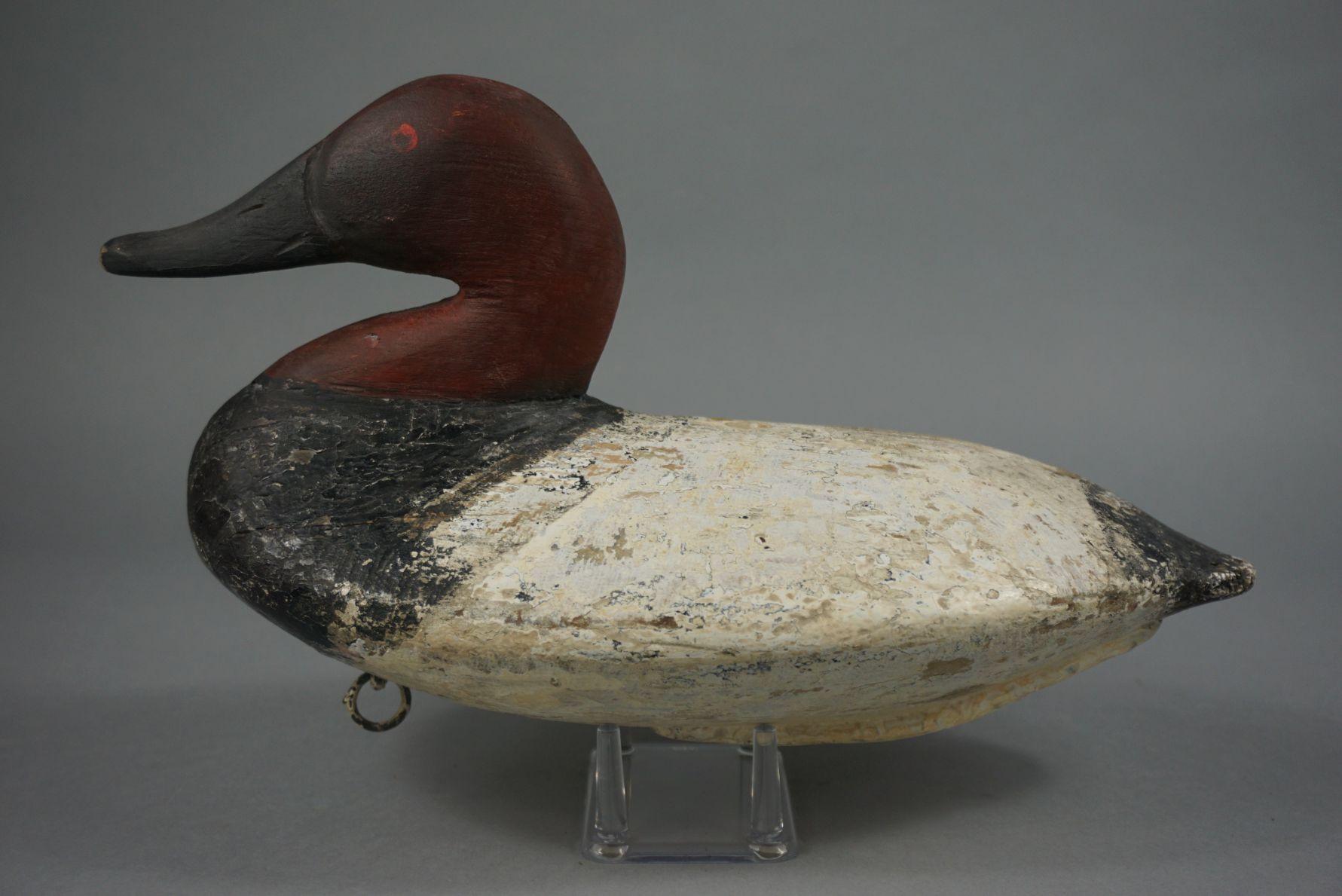 CANVASBACK BY BEN DYE