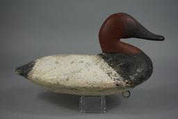 CANVASBACK BY BEN DYE