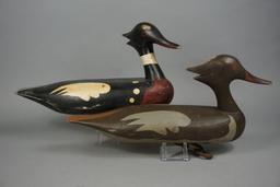RED BREASTED MERGANSERS BY GENE TRAVERS