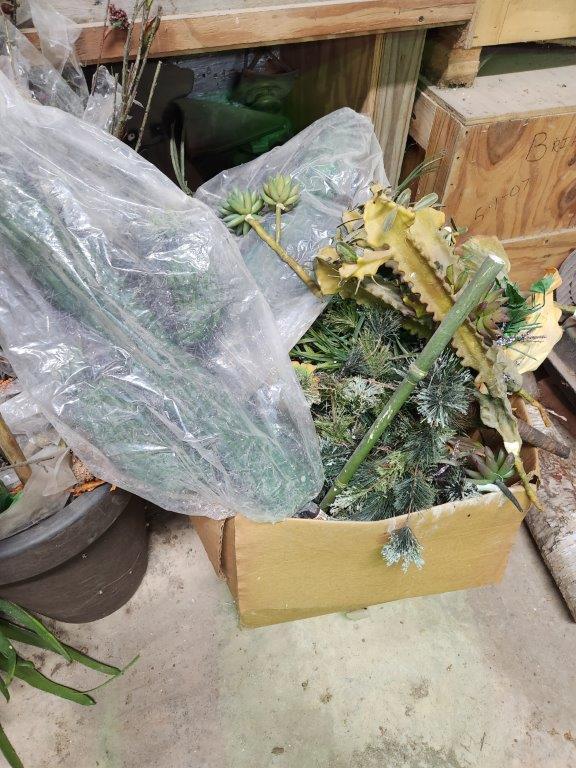 Artificial Plants