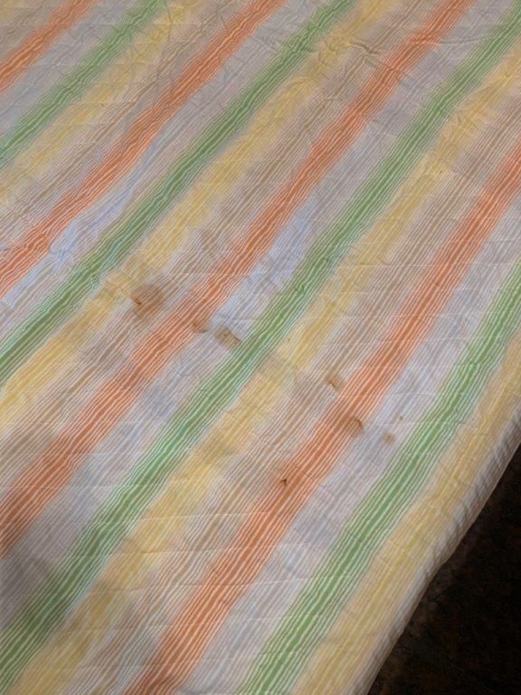 Big Cat Quilt - 2 Sided