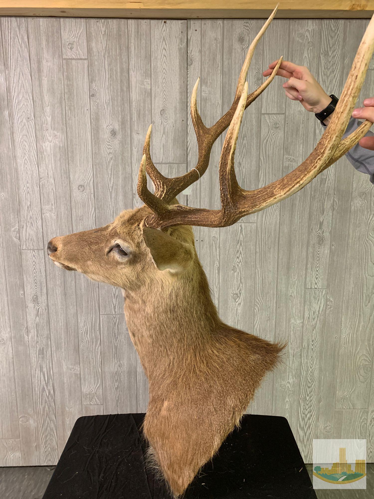 Sika