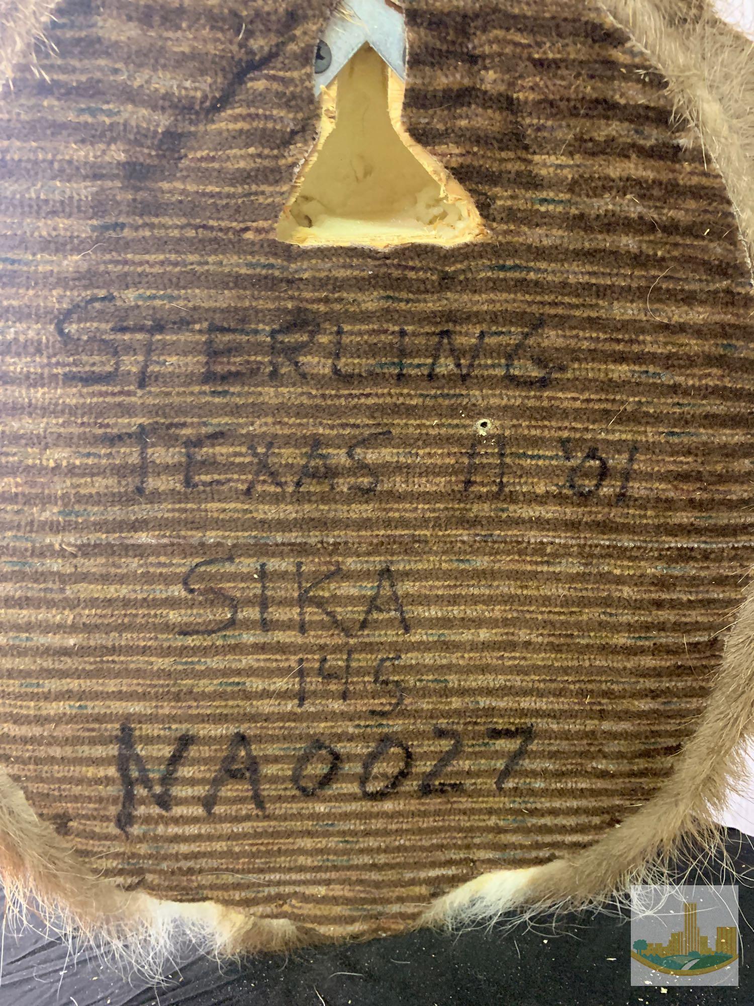 Sika