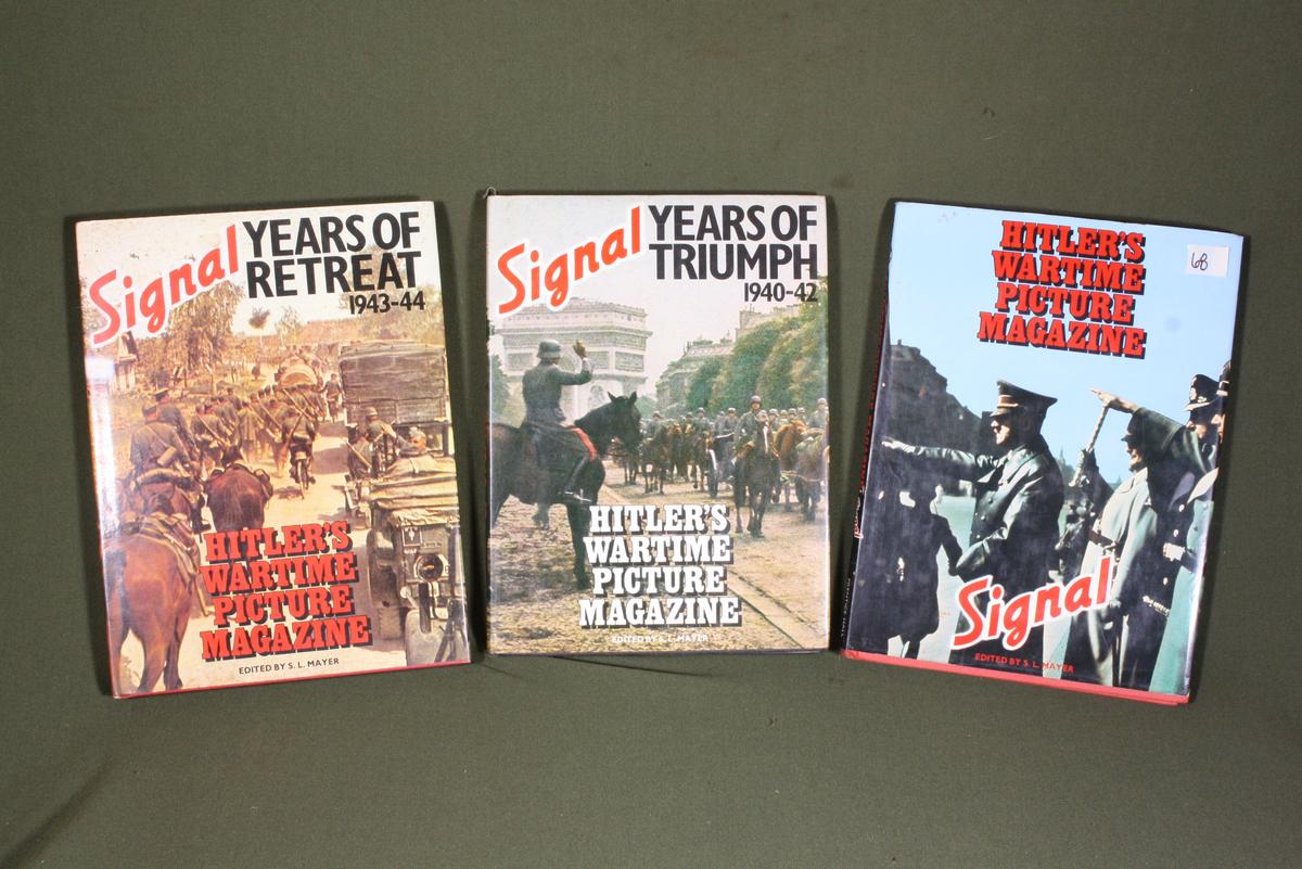 Lot of (3) Signal Hardcover Books by S.L. Mayer
