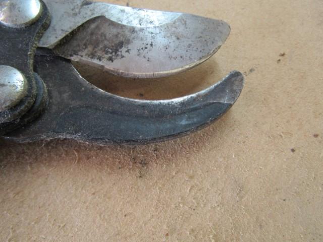 Gently Used Corona F L 3470 Loppers W/ Extended Handles  (Local Pick Up Only )