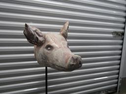 Severed Hog Head Made Of Rubber