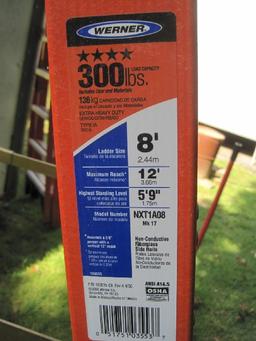 Werner Fiberglass 8' Ladder Max Reach 12' Highest Standing Level 5' 9"