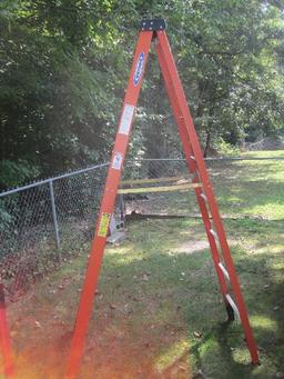 Werner Fiberglass 8' Ladder Max Reach 12' Highest Standing Level 5' 9"