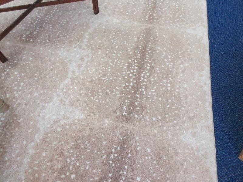 Animal Skin Print Design Area Rug