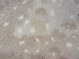 Animal Skin Print Design Area Rug