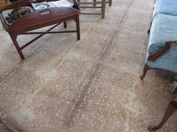 Animal Skin Print Design Area Rug