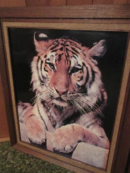 Classic Tiger Print on Board Framed