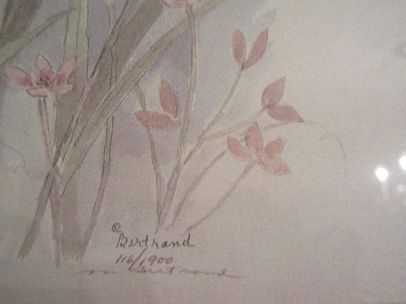 Botanical Iris & Wildflower Artist Signed Mary Bertrand