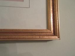 Botanical Iris & Wildflower Artist Signed Mary Bertrand