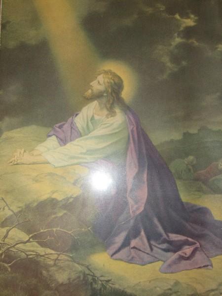 Jesus Praying Religious Picture Print in Gilted Wooden Frame/Matt