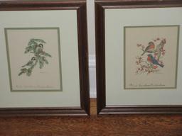 Collection 5 Various Birds and Botanical Framed Artwork Prints All Artist Signed Anne Worsham
