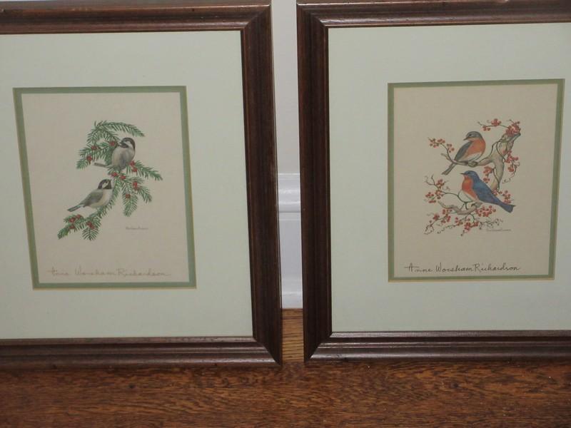 Collection 5 Various Birds and Botanical Framed Artwork Prints All Artist Signed Anne Worsham