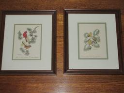 Collection 5 Various Birds and Botanical Framed Artwork Prints All Artist Signed Anne Worsham