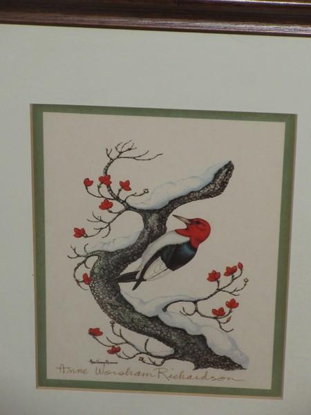 Collection 5 Various Birds and Botanical Framed Artwork Prints All Artist Signed Anne Worsham