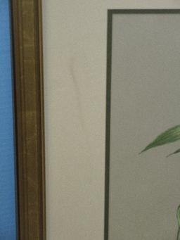Still Life End of Summer Harvest Original Botanical Pastel Artwork Medium Signed Etta Young