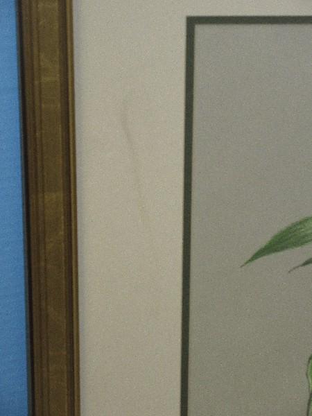 Still Life End of Summer Harvest Original Botanical Pastel Artwork Medium Signed Etta Young