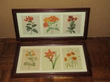 Pair Matching Frames Triple Mat Botanical Flower Prints Various Flowers and Color
