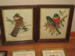 Collection 9 Bird Ltd Edition Signed Lithographs, Vintage Bird Prints & 2 Hummingbirds &