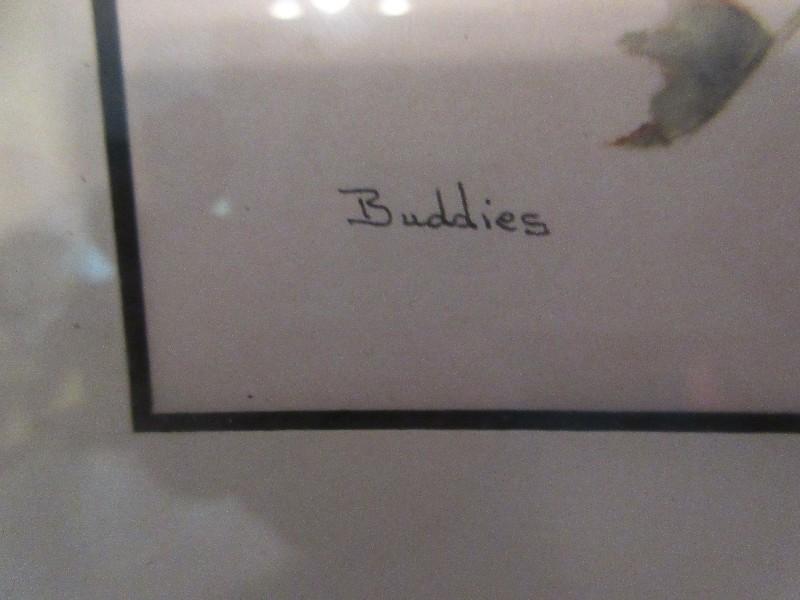Collection 9 Bird Ltd Edition Signed Lithographs, Vintage Bird Prints & 2 Hummingbirds &
