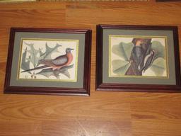 Collection 9 Bird Ltd Edition Signed Lithographs, Vintage Bird Prints & 2 Hummingbirds &