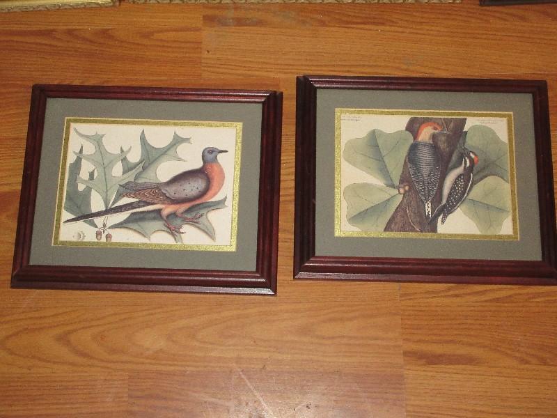 Collection 9 Bird Ltd Edition Signed Lithographs, Vintage Bird Prints & 2 Hummingbirds &