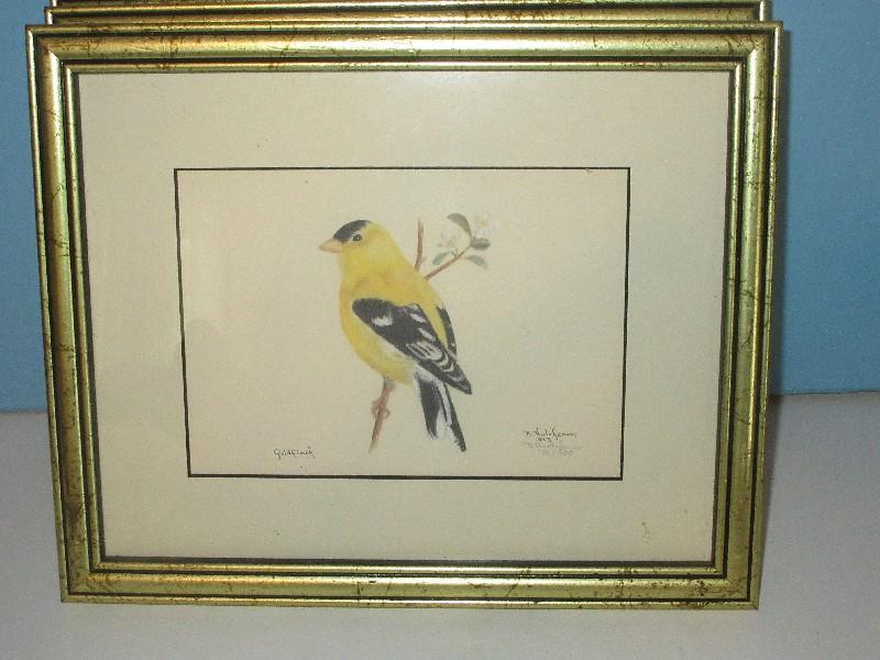 Collection 9 Bird Ltd Edition Signed Lithographs, Vintage Bird Prints & 2 Hummingbirds &