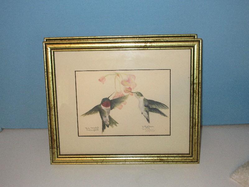 Collection 9 Bird Ltd Edition Signed Lithographs, Vintage Bird Prints & 2 Hummingbirds &